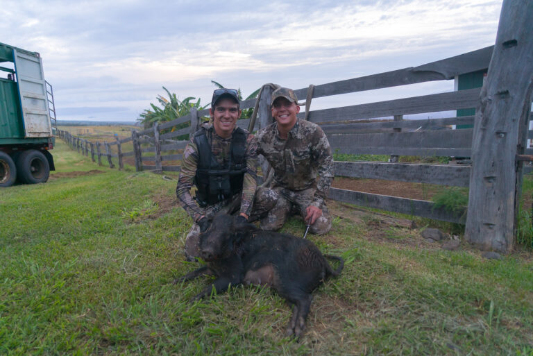 Read more about the article Hawaiian Boar and Spearfishing