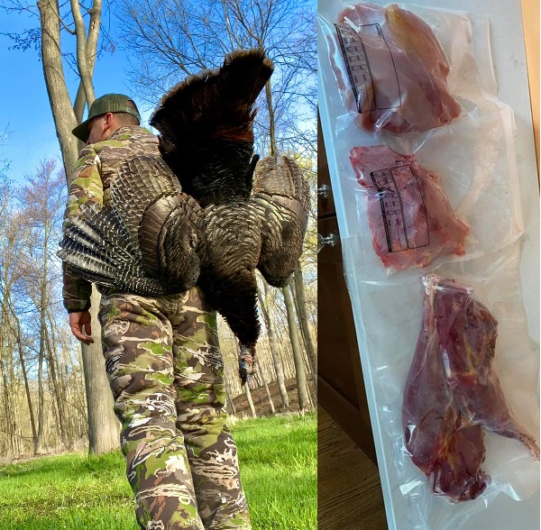 Read more about the article Episode 1 – Turkey Woods