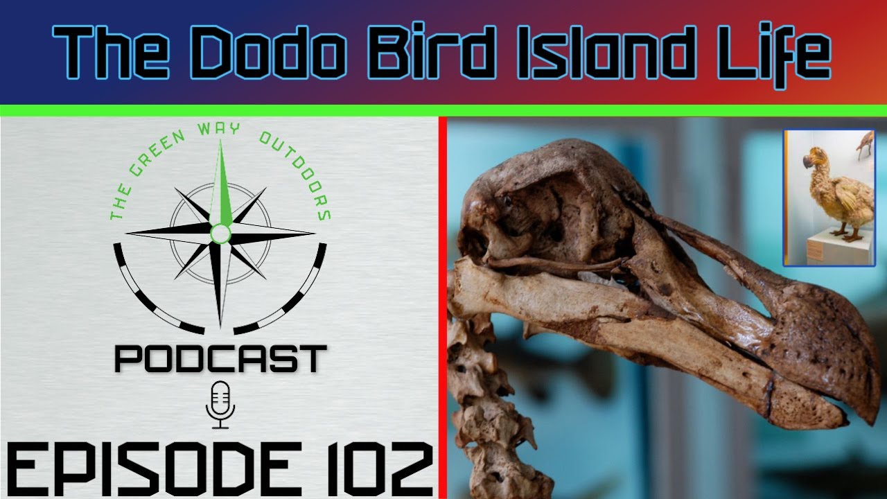 Ep 102: The Dodo Bird Island Life