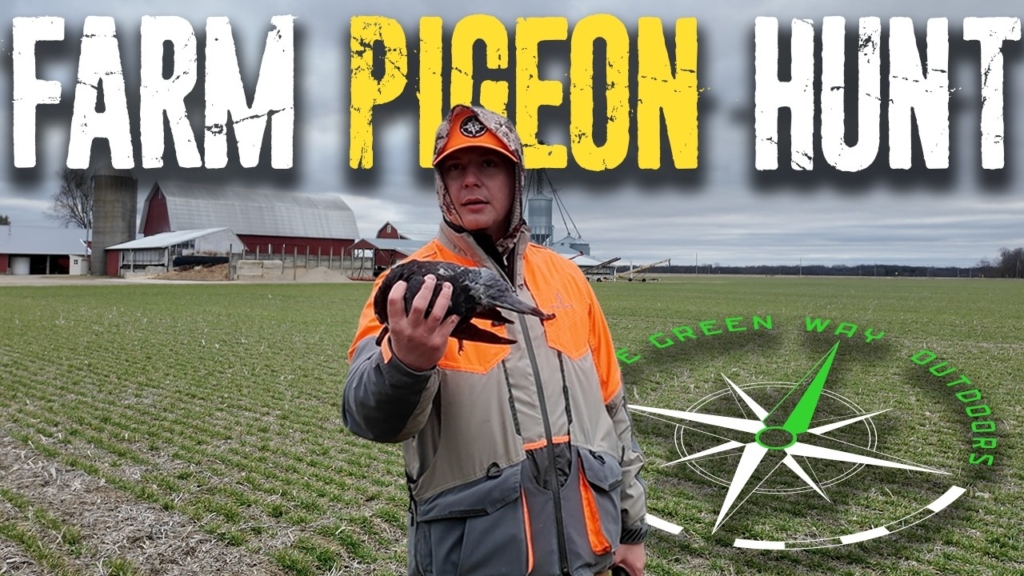 Vlog-22-Farm-Pigeon-Hunt