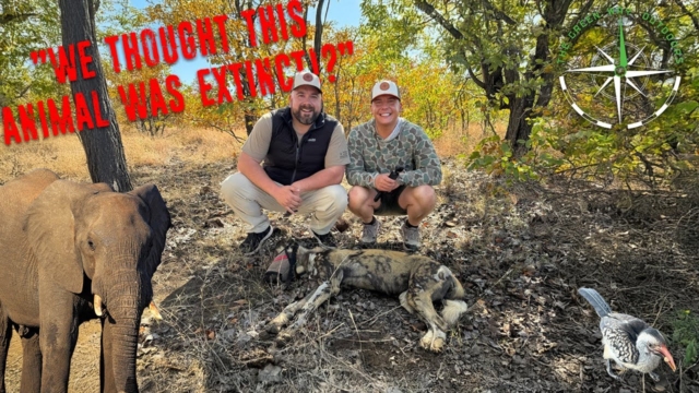 Vlog 32 – Extremely Endangered Species Tracking – African Spotted Dog – Exploring Kruger National Park