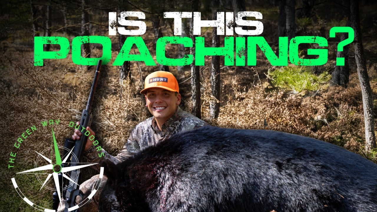 Podcast 159 - Ted Nugent, Crop Circles, Jellyfish, & Hunting Ethics - The Green Way Outdoors Podcast