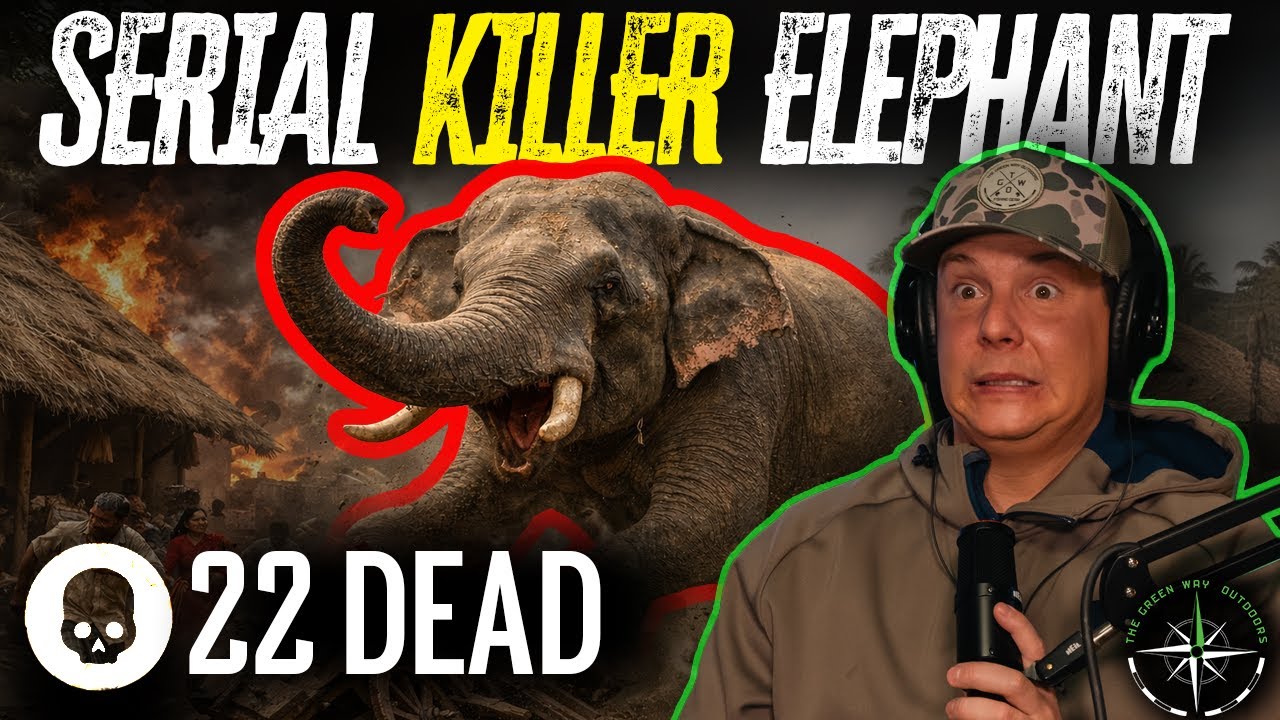 Podcast 165 - Elephant Terrorizing a Village & The USA Founding Docs- The Green Way Outdoors Podcast