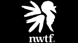 NWTF-black